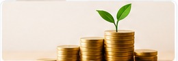 Emergency fund